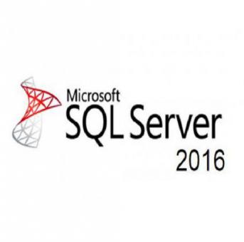 Microsoft SQL Server 2016 Standard - Vollversion - 10 CALs 